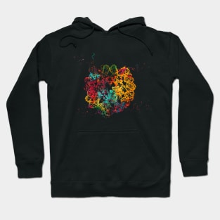 DNA Crystal Structure Hoodie